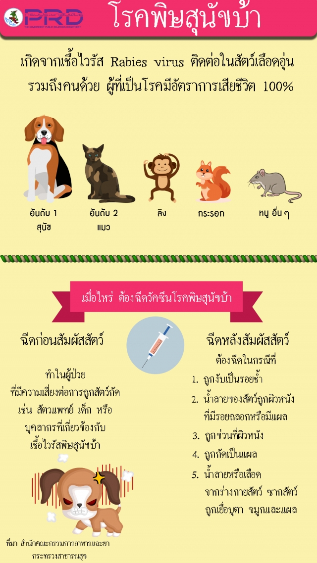 รณรงค์การป้องกันโรคพิษสุขับบ้า