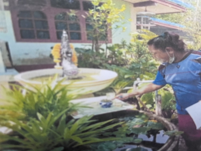 โครงการชุมชนร่วมใจ ปลอดโรคไข้เลือดออก