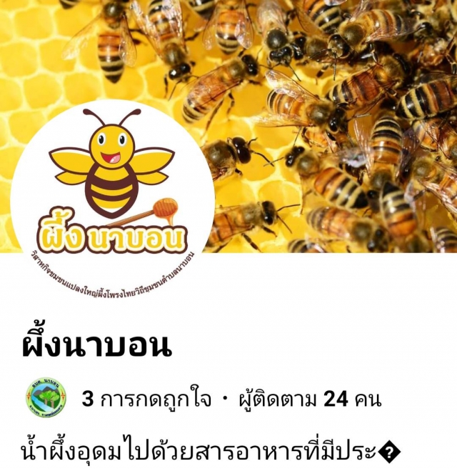 กลุ่มวิสาหกิจชุมชนแปลงใหญ่ผึ้งโพรงไทยวิถีชุมชนตำบลนาบอน
